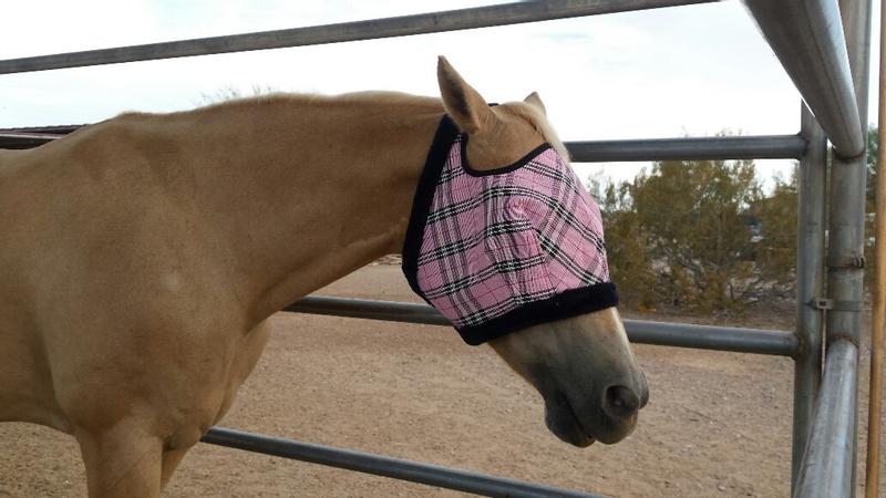 Picky Princess Buttercup