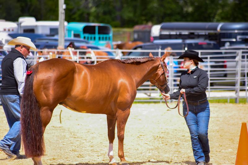That glow is all from within! He’s not even bathed or show-sheen’d