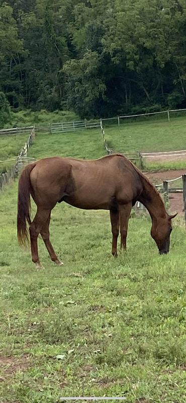 Kat after a month on this.