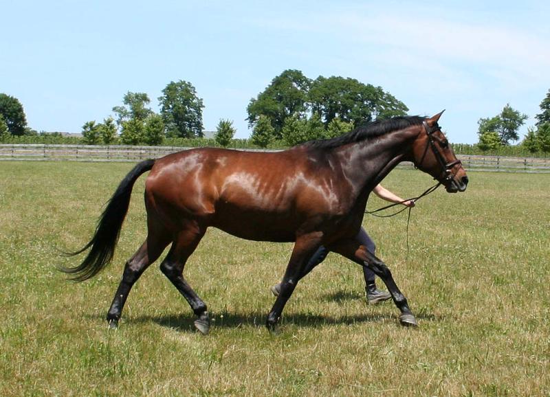 My happy Swedish boyfriend!