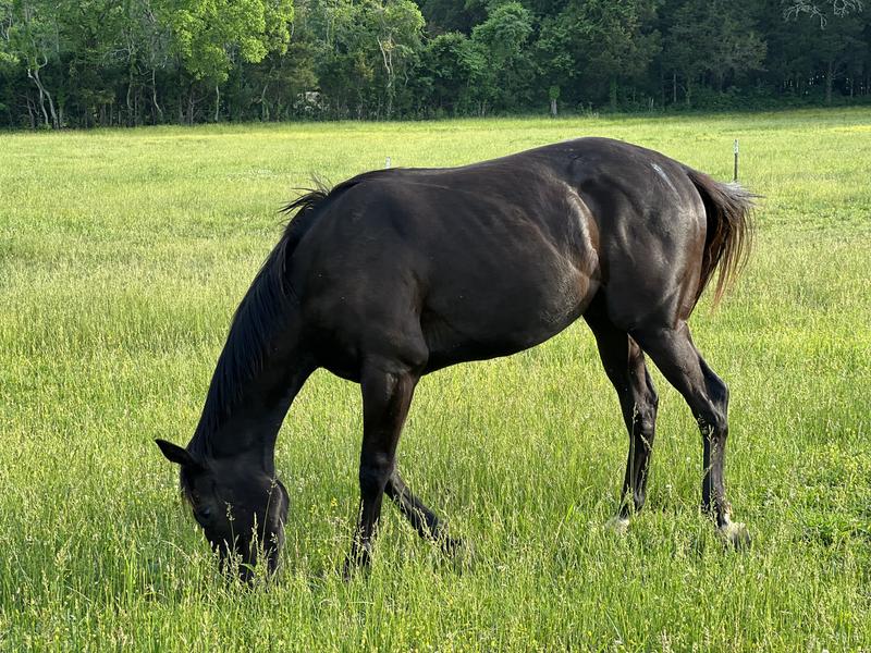 This was in May he weighed 1033