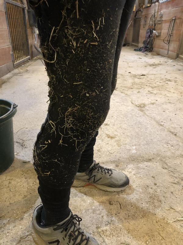 After the first ride.  He did no chores in these breeches!