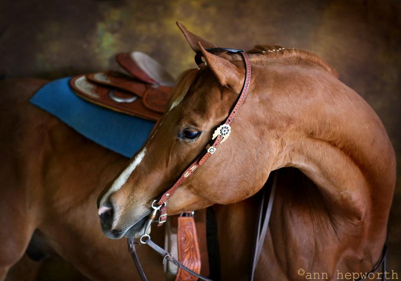 My happy healthy boy!
