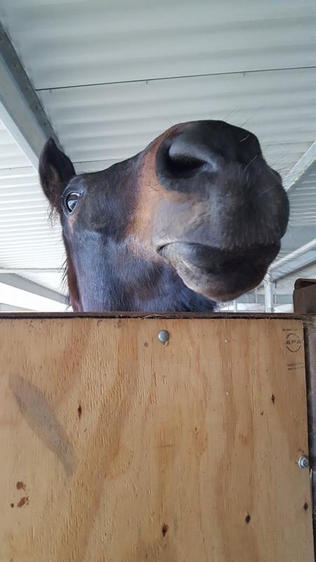 No more snotty nose!