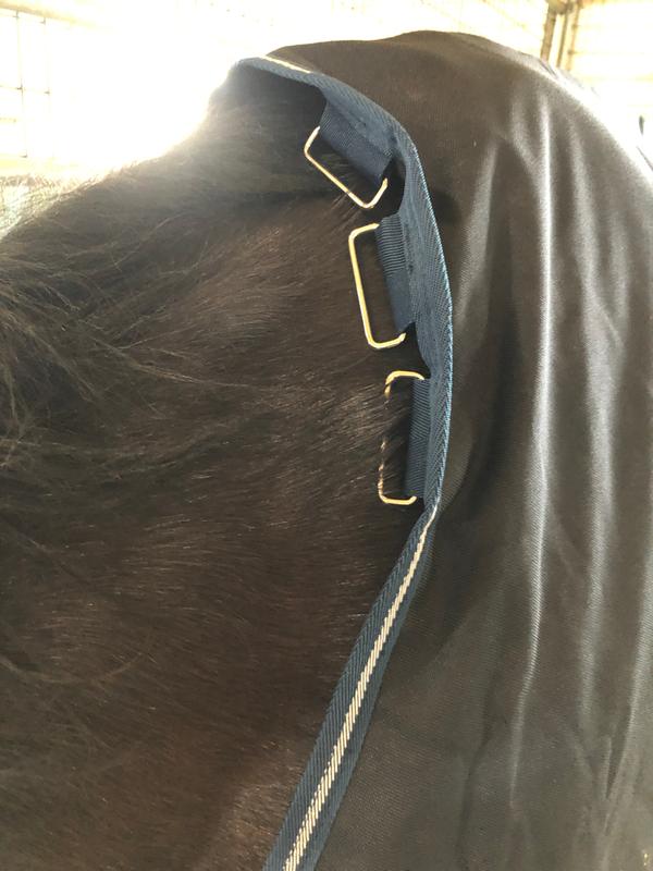 Hood attachment (3 on each side of the neck)