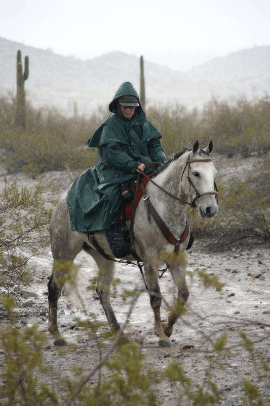 Healthy hooves required