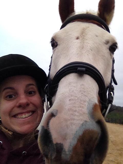 Benjamin is a happy horse after only 2 weeks of G.U.T.!