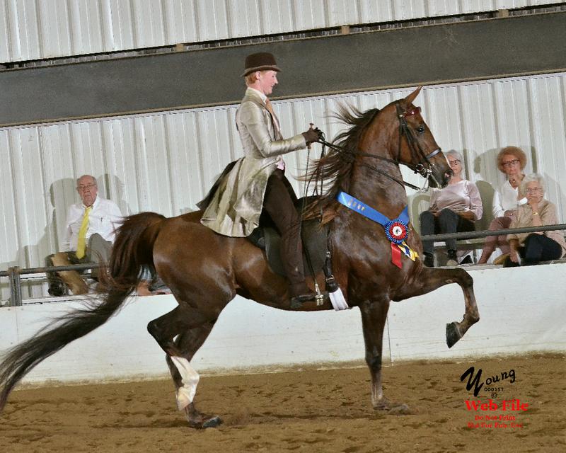 Sable Mink Adult Country Pleasure