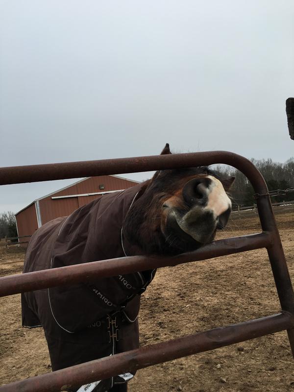 Flaxsnax please!!!!!!!!