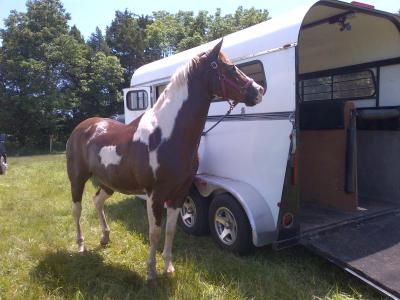 Pooh Bear 25 years old