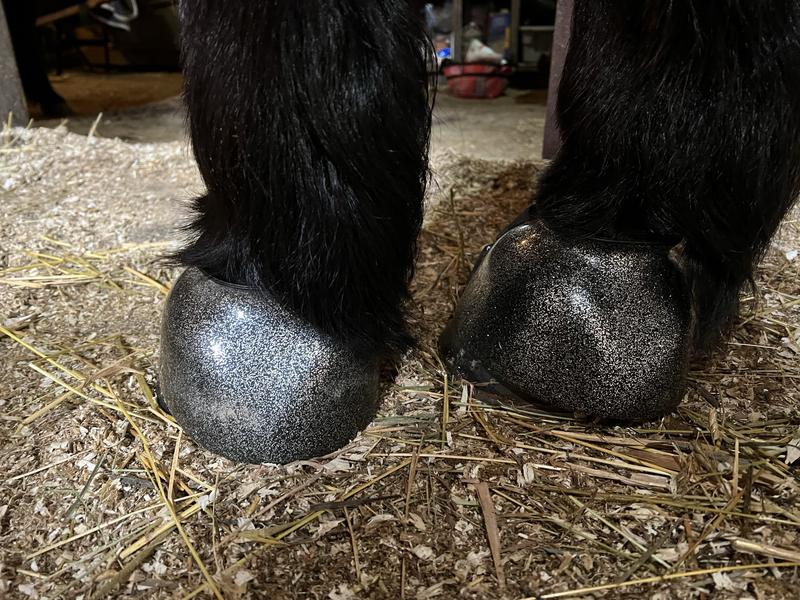 A good option for everyday turnout!