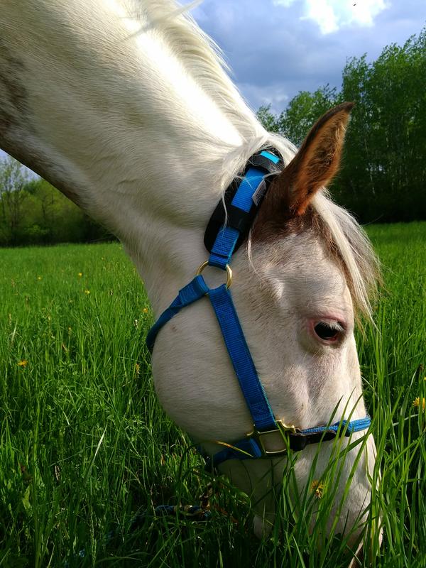 Takoda wearing Benefab poll pad