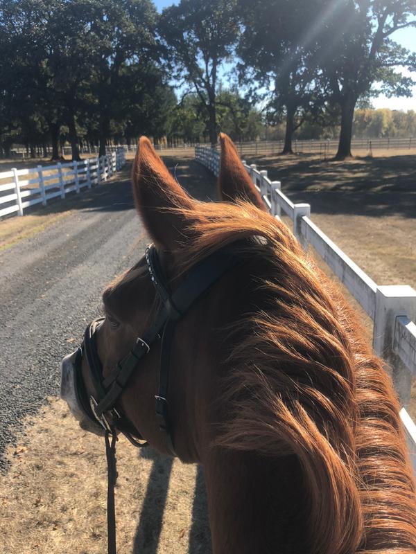 Simon feeling fresh on this fall afternoon.