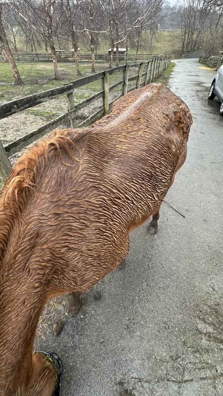 rainy cold February in NY, skinny after first winter in the US