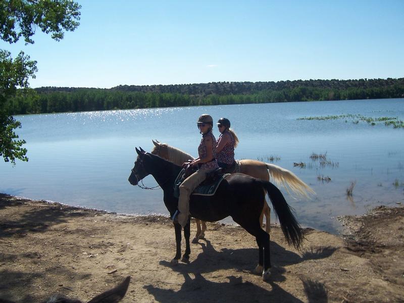 Calm, happy and a pleasure to ride