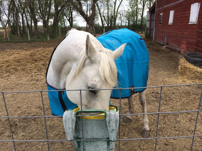 Picky eater approved!