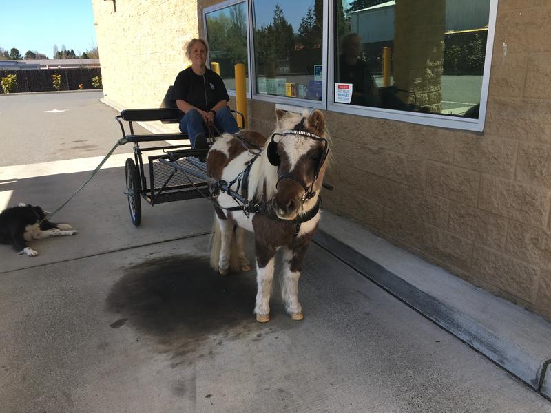 Drive thru pharmacy