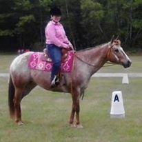 Our 1st show since starting SmartCalm & 1st time doing western dressage