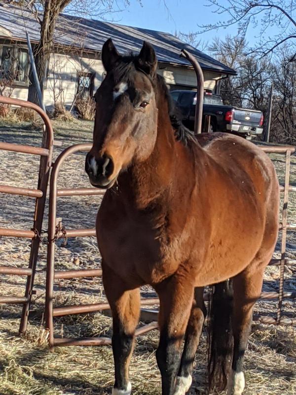 Very good comforting results in colder weather especially