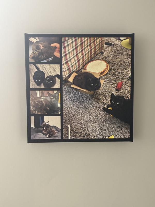 How to Put a Picture on Canvas: Easy Steps for Stunning Art