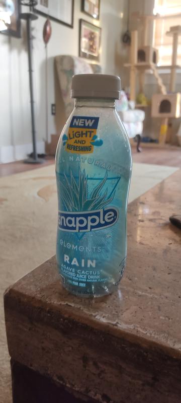 Snapple Elements Rain Agave Cactus Juice Drink