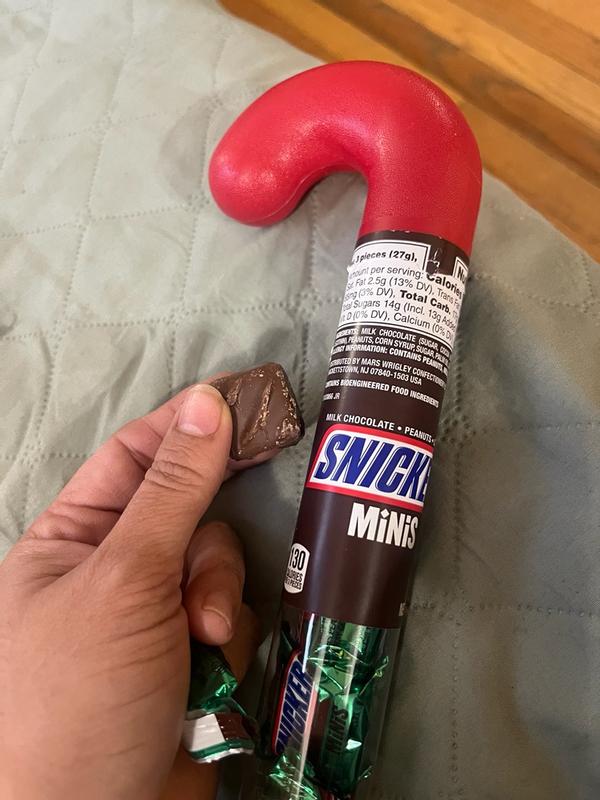 Snickers Large Share Bag of Milk Chocolate Candy Bars - 9.7 Ounce Bag ...