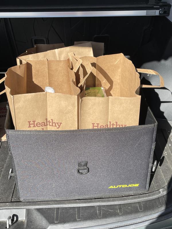 Grocery Carrier