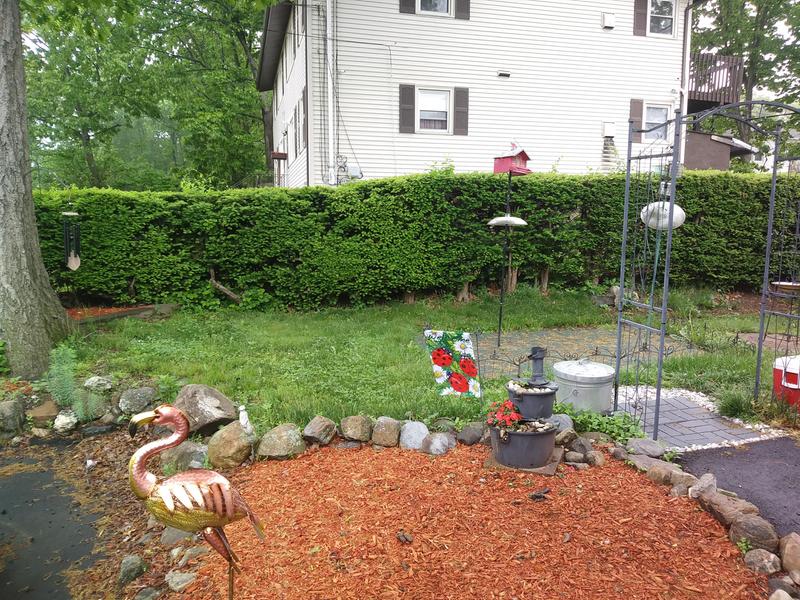 Side Yard