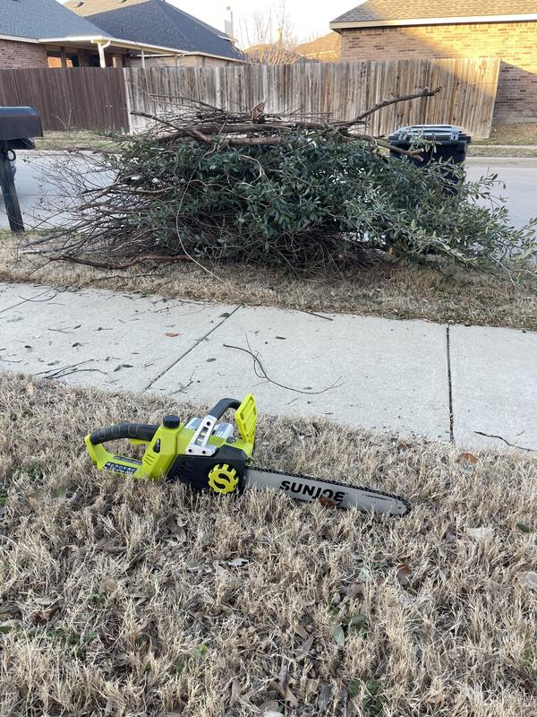 A mountain of tree limbs!