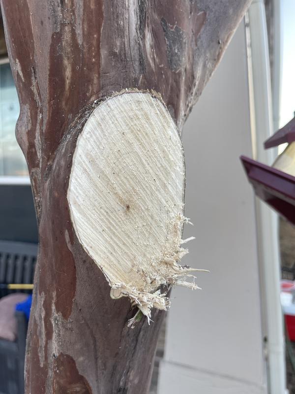 Like a hot knife through butter!