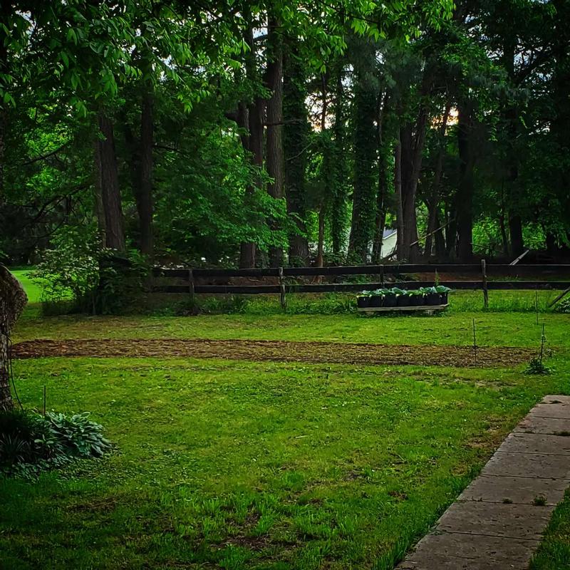 Photo from Caelestia