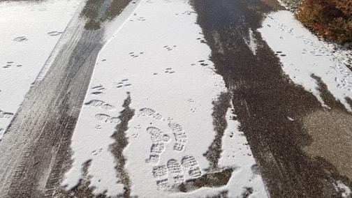 tire trackers were both ice, i put some ice melt on the right side and this is the result