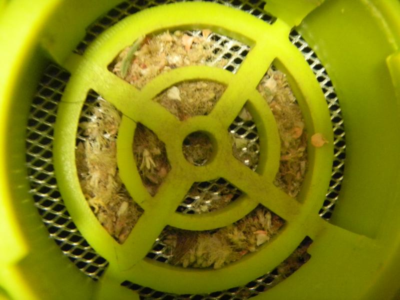 How do you explain????