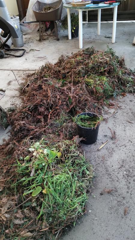 what I have left to do...I only put in a small amount at a time.  And let the machine cool off after 15 min of running