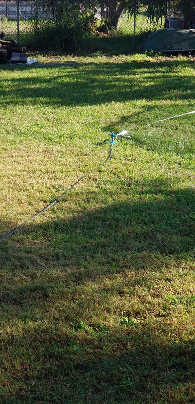 Watering the yard