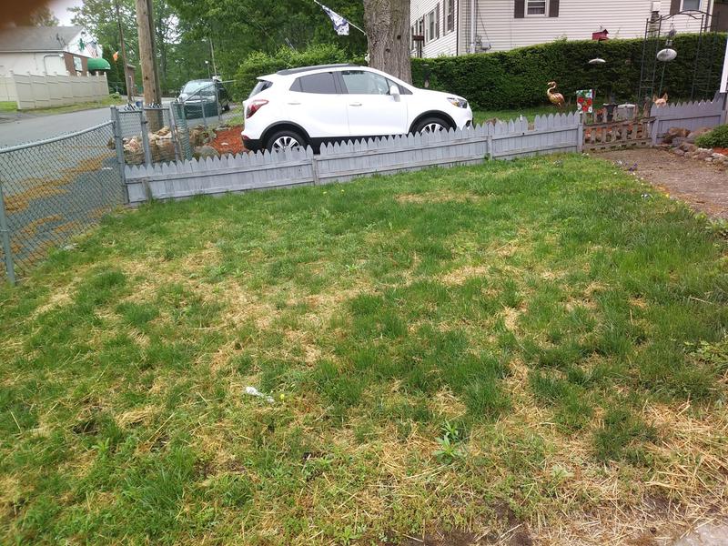 Front Yard