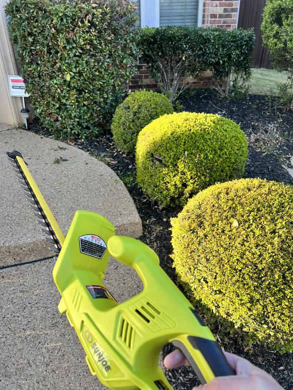 Lightweight and powerful. Made quick work of my hedges!