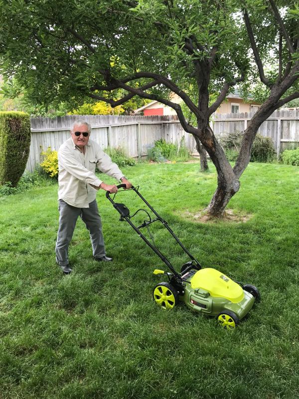 Sun Joe 20 Inch Electric Lawn Mower MJ408E