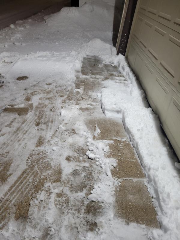 Snow Joe Does It Again!