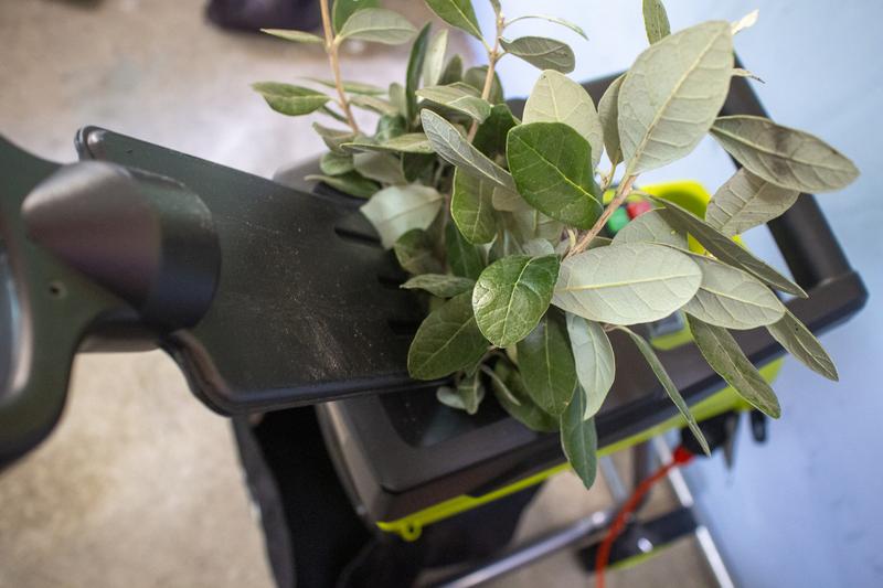 The machine comes with a paddle that makes it easy to add leafy branches into the chamber safely.
