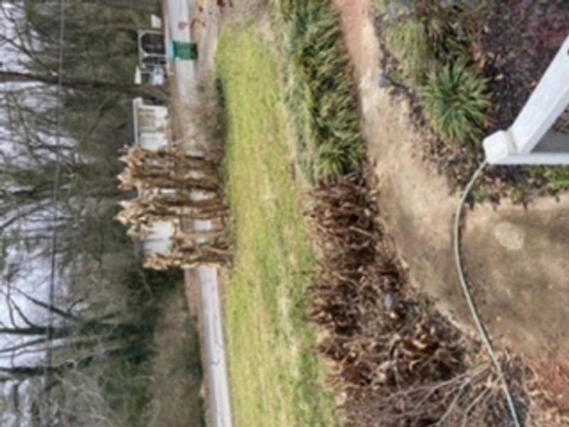 Front yard!! Very wet! Was excited to try the mower.