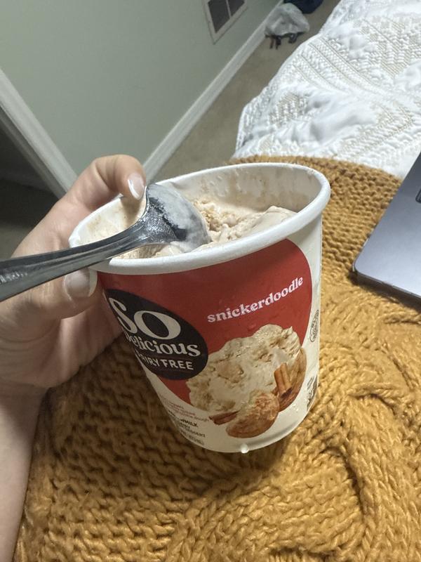 Snickerdoodle Cashewmilk Frozen Dessert | So Delicious Dairy Free