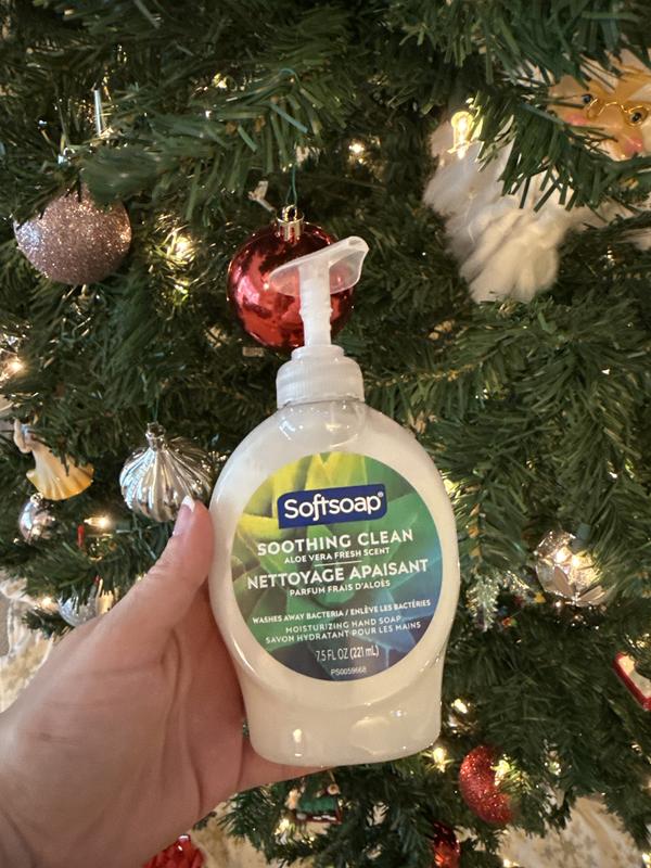 Great Christmas gift