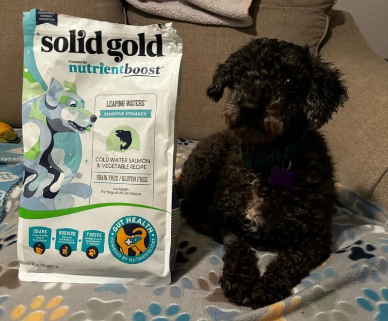 Grain Free Solid Gold High Protein Dog Food Reviews Solid Gold