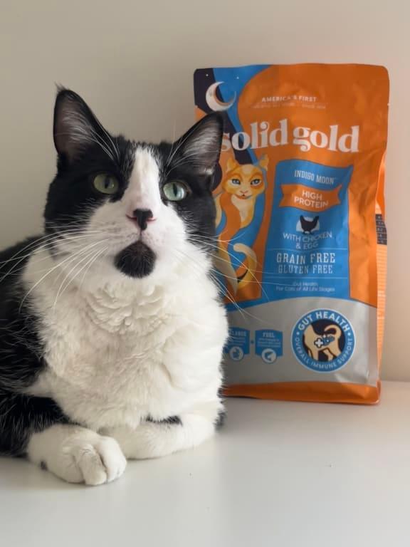 Indigo Moon™ Chicken Dry Food for Cats