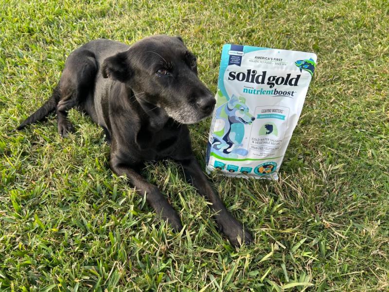 Nutrientboost™ Leaping Waters™ Sensitive Stomach Dry Food for Dogs
