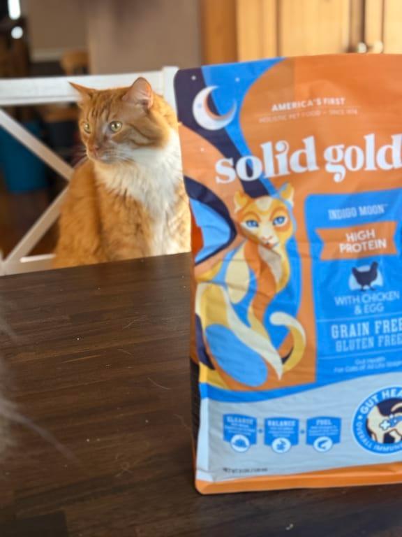 Solid Gold Indigo Moon 6kg キャットフード Solid Gold Indigo Moon 6kg キャットフード