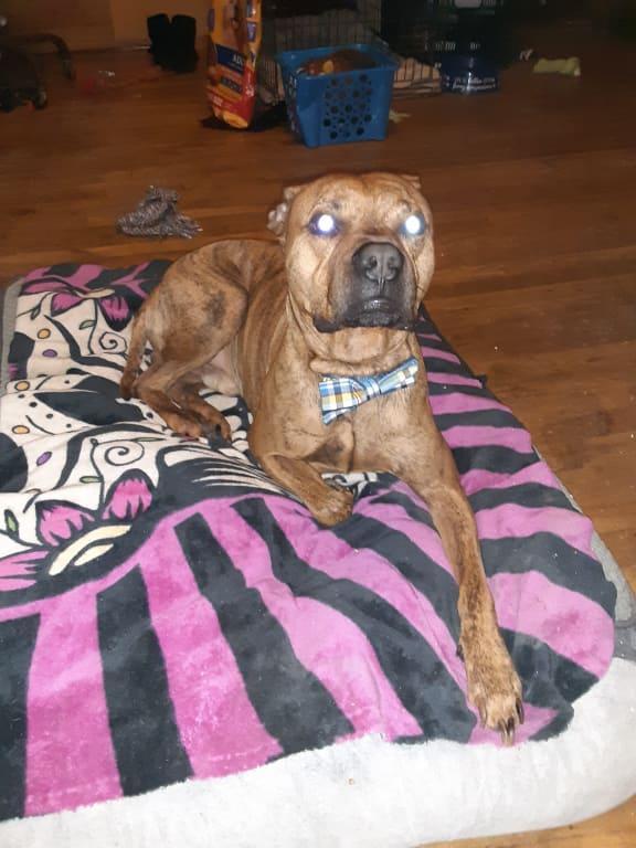 Spoiled boy