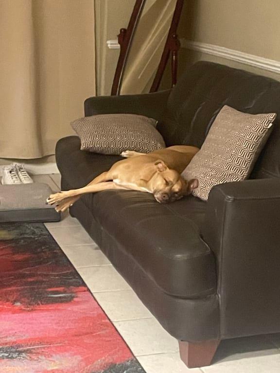 2 hours after taking supplement