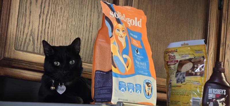 When you catch Sam guarding the real treasure-Indigo Moon kibble! #TopShelfTastes